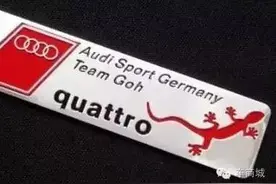 被秀一脸，车屁股后面的“壁虎”原来是这么一回事啊！图片