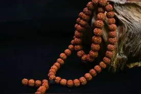 7种菩提佩戴小讲究，哪种最适合你？图片