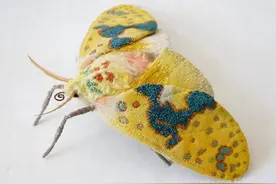 最专业的蝴蝶迷，Yumi Okita手作最美的仿真蝴蝶图片