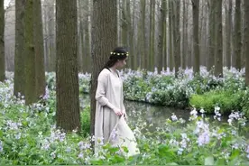 那一片水上森林，很美很梦幻 ‖ 兴化李中之旅图片