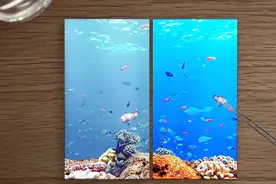 手机屏幕的分辨率还有这些猫腻，看懂买手机不被坑！