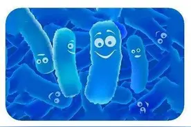 小小益生菌浑身技能满满，但您选对了吗？图片