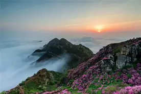 大黑山辣么美，我想去走走！最强赏杜鹃花云海攻略，内有惊喜！图片