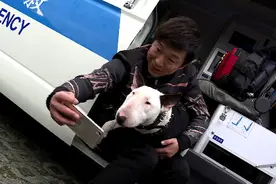 还有6个小时，极限挑战开播，万一不好看咋整？图片