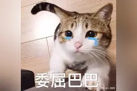 一卡在手通行全国！广东这14城已开通，你的公交卡还将迎3大利好图片