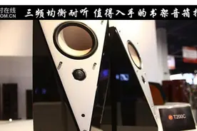 三频均衡耐听 值得入手的书架音箱推荐图片
