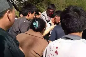 重庆城口男子上山采药被野熊袭击 熊口脱险失左眼图片