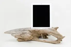 来自大自然的支架图片