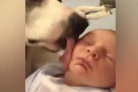 爸爸终于知道宝宝睡得这么香是为什么了！