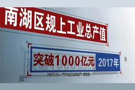 跨入千亿俱乐部 听听南湖企业家们又有啥“小目标”图片