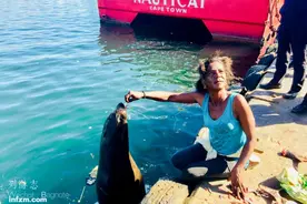 开普敦，帝国的冲动创造的美丽“新世界”？图片