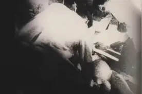 高度真实的罗斯威尔事件视频图片