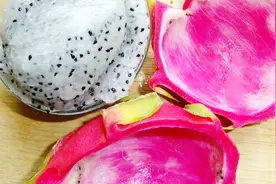 火龙果皮千万别扔了，营养丰富还美味，不知道就太可惜了！视频封面