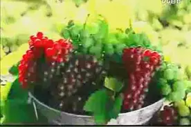 歌曲《请到我们山庄来》陆青霜视频封面