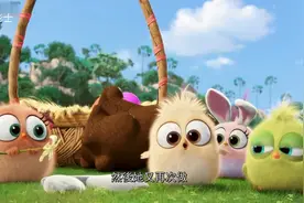 超萌动画《愤怒的小鸟》番外篇，看完后心都被治愈了视频封面