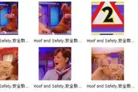 BBC原版安全教育动画片，加强孩子安全意识！图片