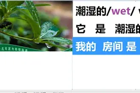 希望你全力以赴，每天坚持练！潮湿的wet/wet/视频封面