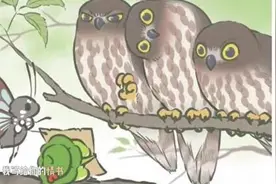 3分钟「旅行青蛙」完全攻略！内附彩蛋