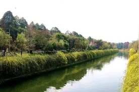 浣花烟雨：此景天成尤胜画图片