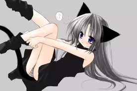 最倒霉的喵星人：为什么黑猫被视为厄运的象征？丨壹读百科图片