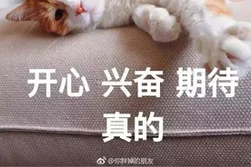 开学啦！16款平价笔记本评测，20元以内竟能买到这么好的本子 | 周到慧选图片