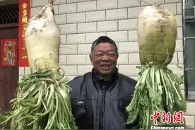 四川安州现大萝卜 一个重达16斤(图)图片