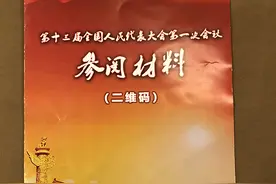 上海代表团创新使用二维码提供30余份参阅材料图片