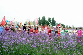 襄阳薰衣草文化节三天游客超5万人次图片