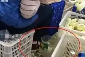 娃娃菜、大白菜被曝泡甲醛保鲜？还让不让人好好吃菜了！图片