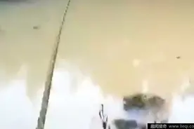 实拍巨蟒咬住钓鱼者的鱼不放并将其吃掉 看着挺吓人图片