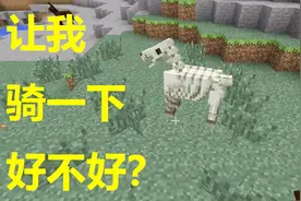 我的世界：尝试驯服“骷髅马”坐骑，只想做一个酷炫拉风的玩家