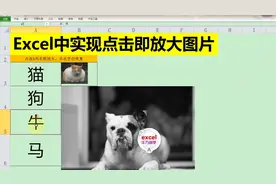 Excel中如何实现点击即放大图片的效果？用VBA代码实现很简单！视频封面