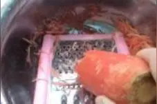 彩色馒头之胡萝卜馒头做法图片