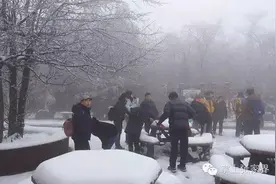 2016天门山首场雪约你！图片