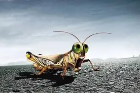 音乐梦追忆：南山南图片