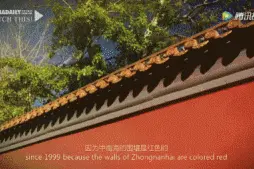 北京的红墙意识了解一下？听外国人老欧怎么说……图片