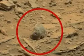火星上发现生命痕迹？火星探测器传回来的图片让人议论纷纷图片