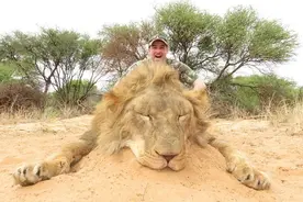 瑞典猛男和朋友们在南非狩猎并食用被猎杀野生动！引发众怒！图片