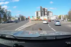 开着车车头突然冒出老鼠 这是什么梗视频封面