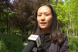 临淄：二孩政策后，独生子女家庭奖励政策怎样实施？视频封面