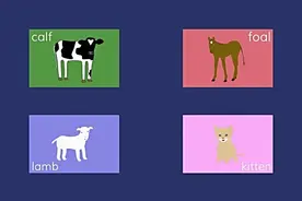 Mary妈妈玩转英文绘本4《Gossie》图片