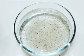 教你8个简单又炫酷的科学小魔术，速度来学！图片