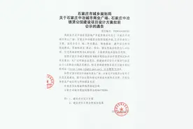 塔南路中冶项目规划曝光 可容4000余人图片