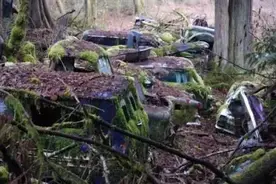 森林的另类美景 废弃汽车成时尚大片图片