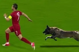 混进足球场的狗追的球员狂奔，难怪人家踢得好，建议国足也这么练视频封面