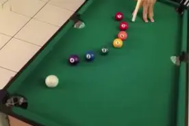 看过来，大神教你如何一杆进洞！视频封面