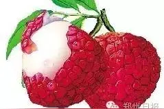 荔枝靠喷甲醛保鲜？真的有“假鸡蛋”、“激素肉”？食品检验专家告诉你真相图片