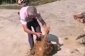 这老爷子，手艺真好！视频封面