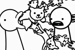 干粮，湿粮，冻干哪个是更好的狗粮？图片