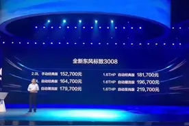 精致的过分 全新3008上市售15.27-21.97万元图片